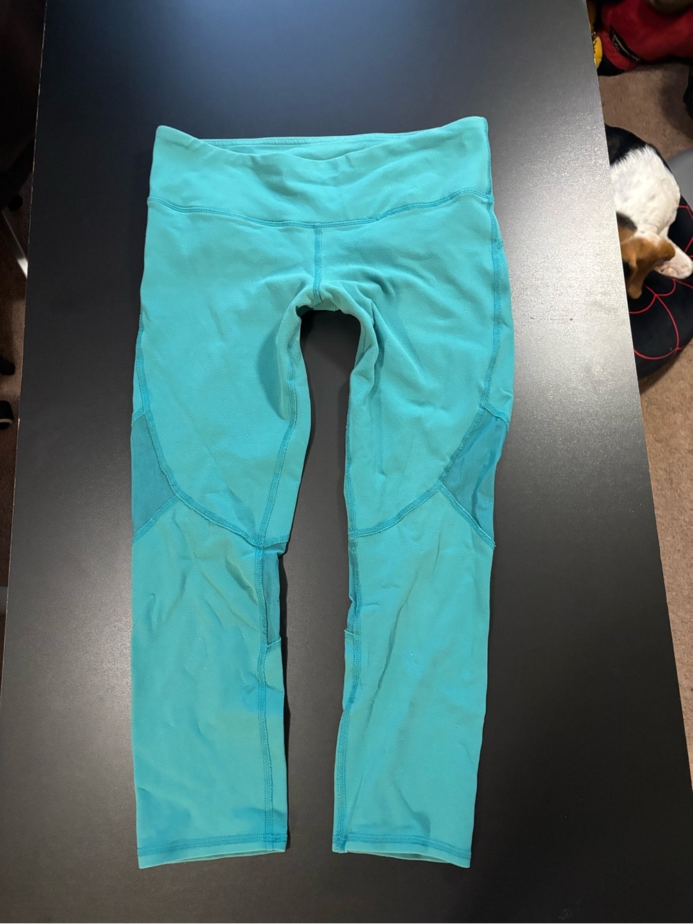 Alo blue leggings. Rip tag removed. Please see pictures for measurements.